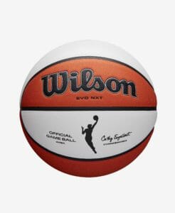 the official WNBA basketball